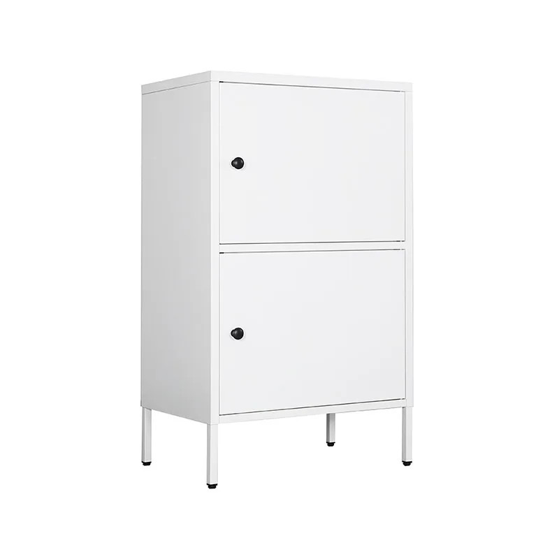 Short 2 Drawer Metal Storage Cabinet Office File Cabinet Locking 2 Door Metal Cupboard for Home, Garage, Workshop