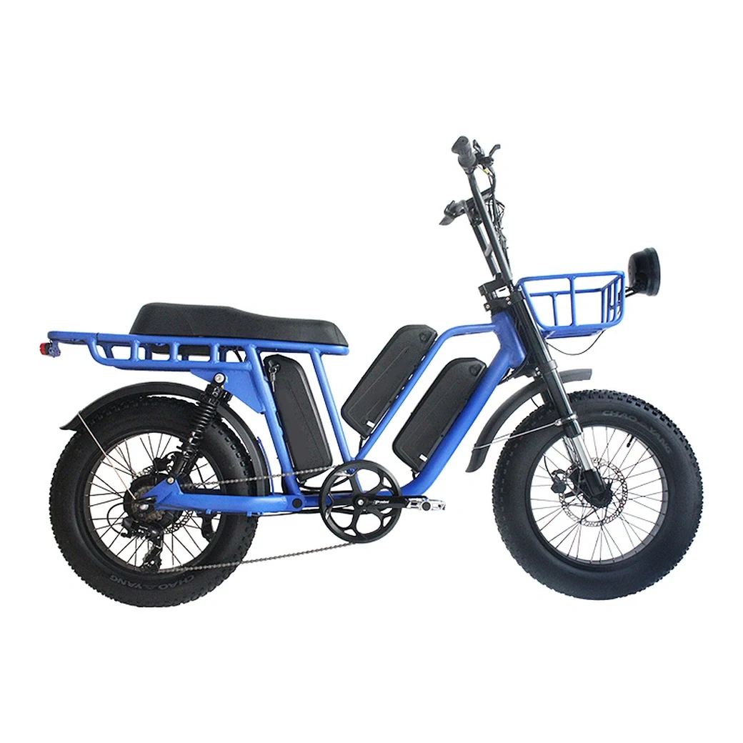 Wholesale Electric Bicycle with Two-wheeled Electric City Bike Motorcycle for Adults