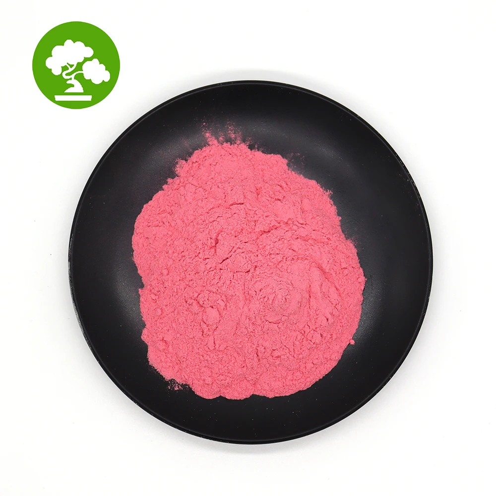 Factory Supply Natural Strawberry Pure Strawberry Powder