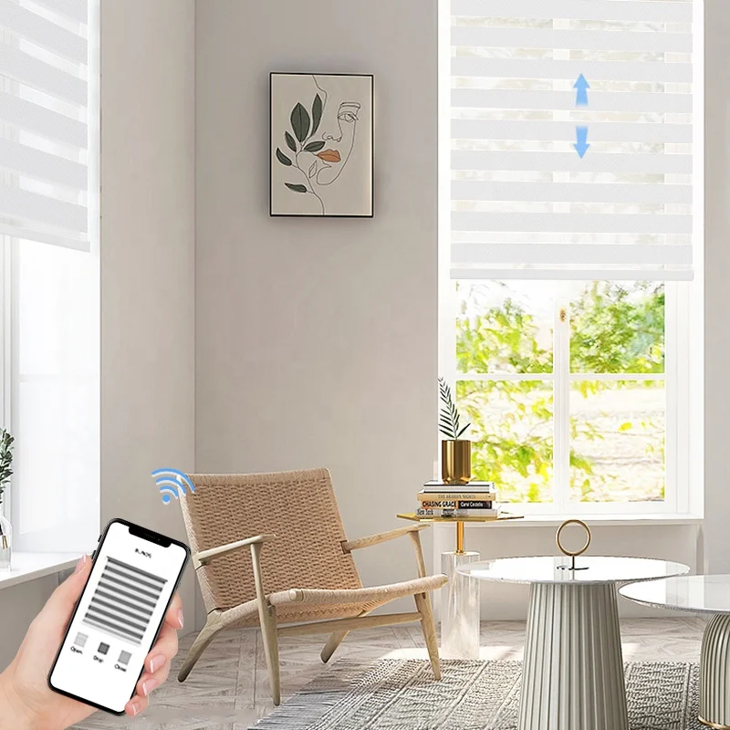 Electric dual window double roller shades zebra blinds shade automation wifi indoor battery operated motorized zebra blinds