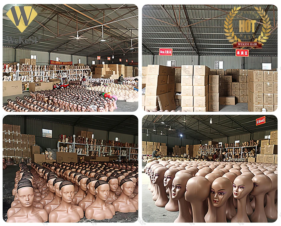 China Top Wig Vendor hair mannequin head with shoulders for wig display,african american mannequin plastique model head shop