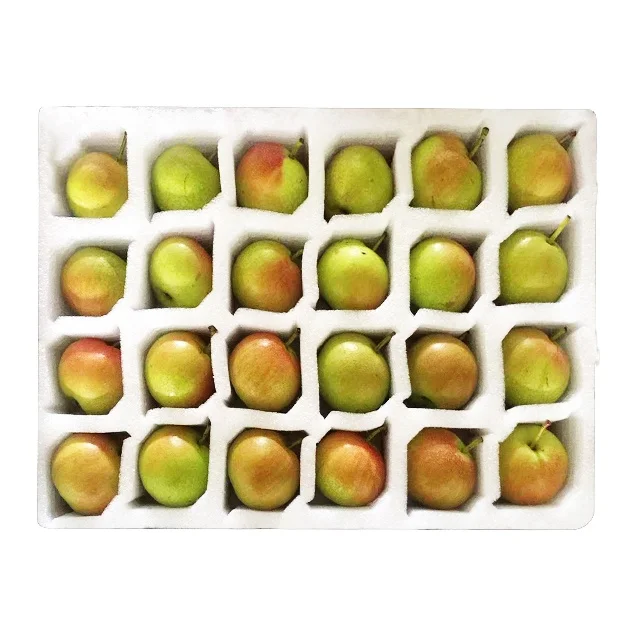 Custom Epe Foam Tray Insert Fruit And Egg Protection Transport Package Pearl Cotton Eva Sponge Packaging Material