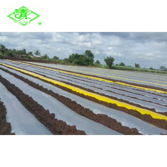 Agricultural Plastic  Control Mulching Film Black Silver Shine Mulch Film For graden greenhouse