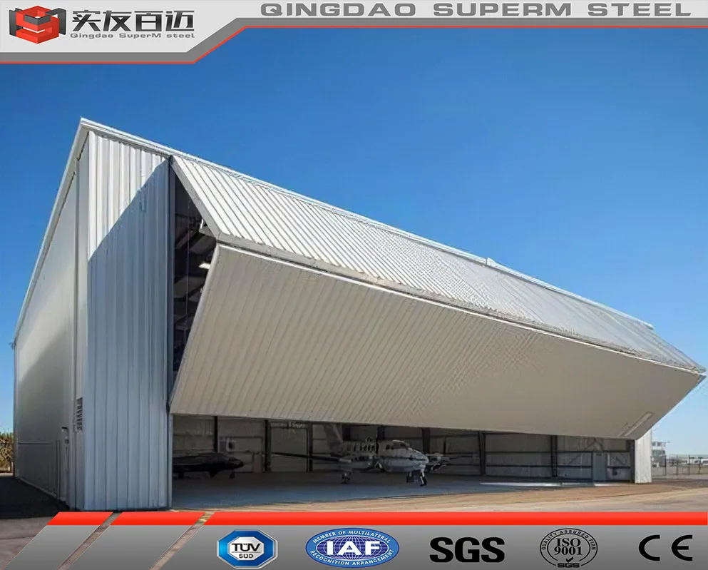 Light Material Industrial Shed Prefabricated Building Steel Structure Aircraft Hangar