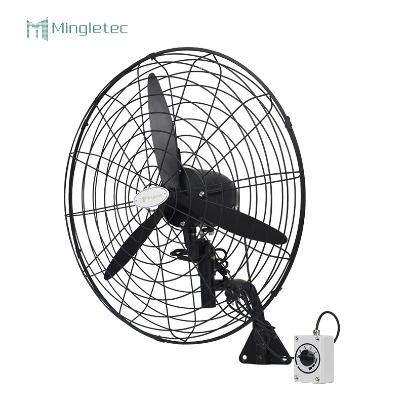 Summer essential hot sales Durable DC motor industry wall mounted fan