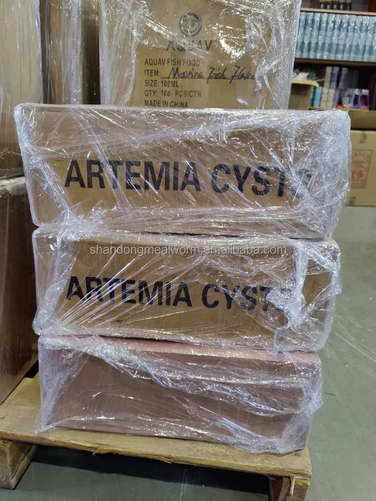 Support customized aquamaster Artemia Cysts eggs with high hatchability