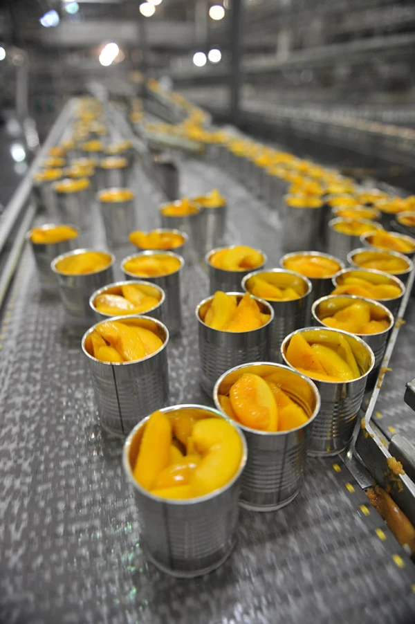 Best price -  Best canned yellow peach with high quality from Vietnam (Whatsapp: +84975262928, Helen)
