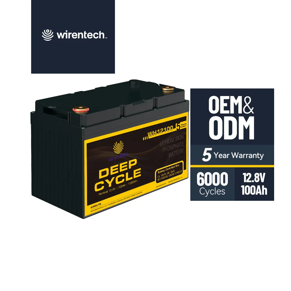 WIRENTECH Customizable 12V 100Ah  Lithium-ion Rechargeable Battery with Smart Built-in BMS