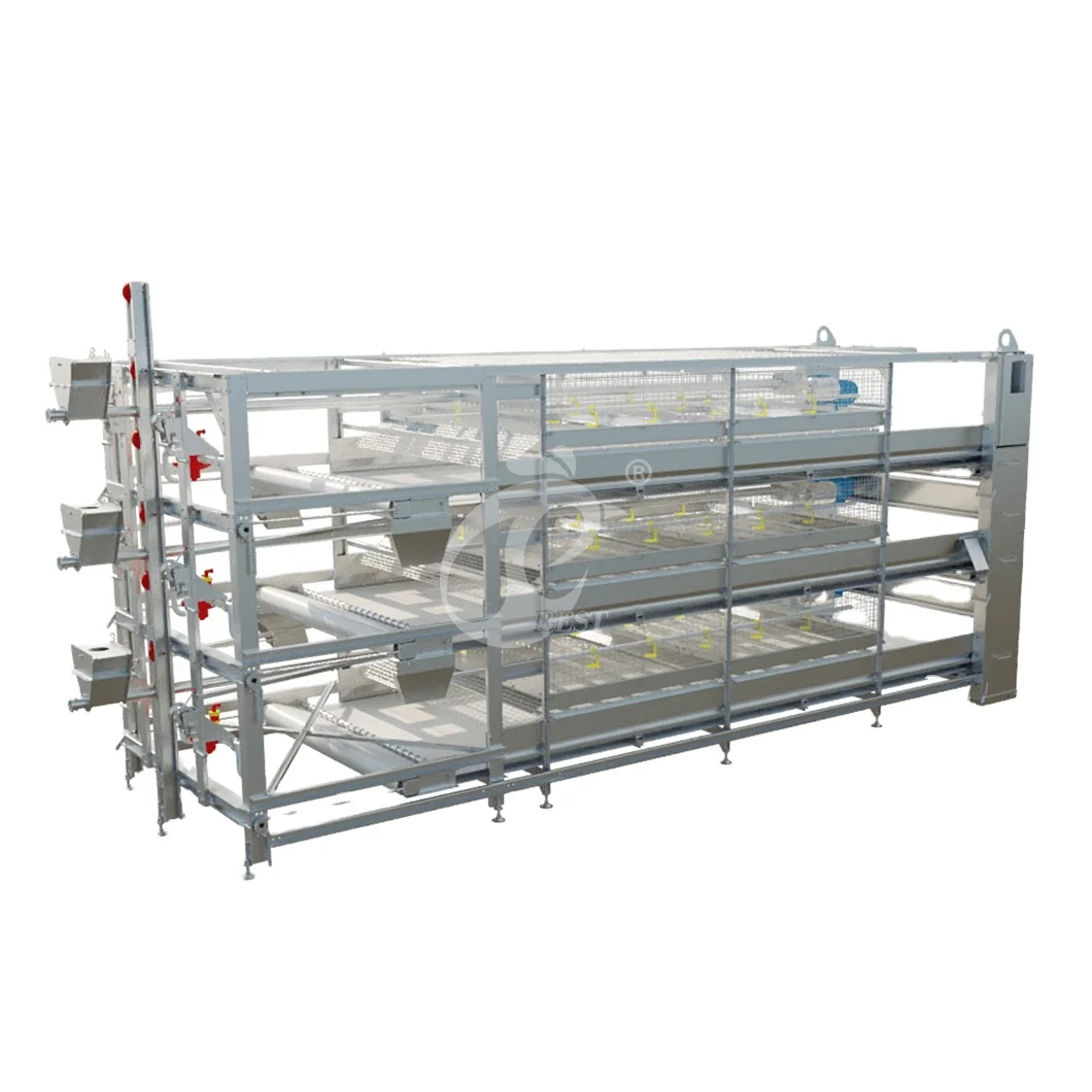 China Baby Chicken Pullet Cage H Type Pulled Brooder Cage 2Cm Engraving Thickness Movable Pullet Chicken Coop