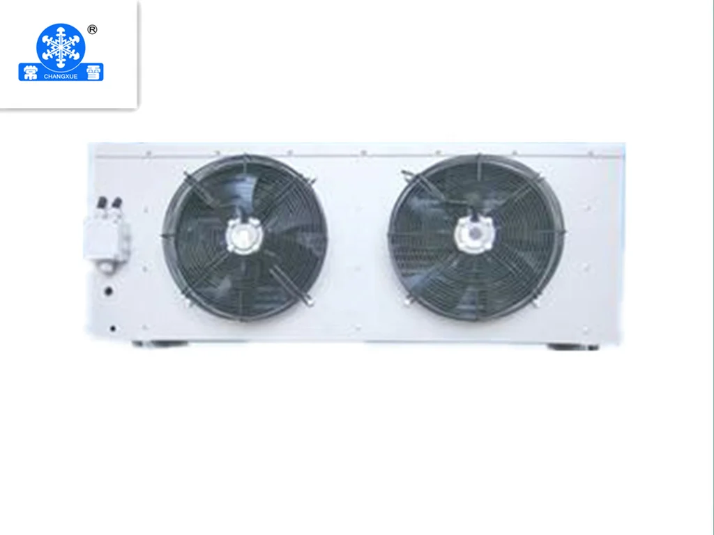 Professional Negative cold room freezer cold storage  unit project