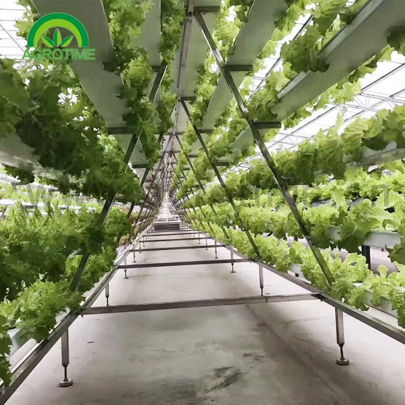 Вертикальная гидропонная аквапонная система NFT для коммерческих сельскохозяйственных теплиц