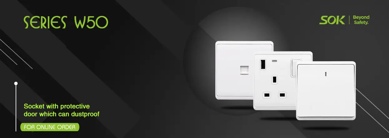 wall switch 2gang1way wall switch with Neon 250V 16A light switches with CE certification China factory and supplier