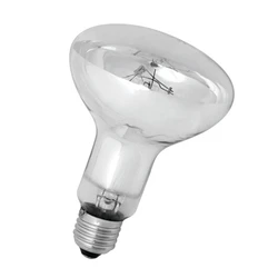 R95 80W 100W Uvb Reptile Mercury Lamp Mercury Vapor Provides Ultra-Violet Radiation For Reptiles