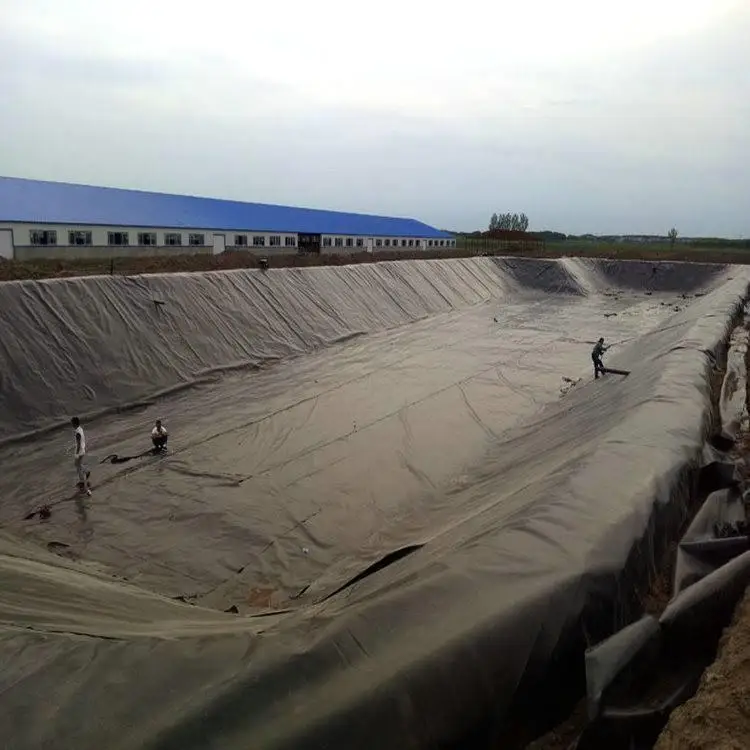 High Quality HDPE geomembrane HDPE water dams Pond Liner membrane sheet