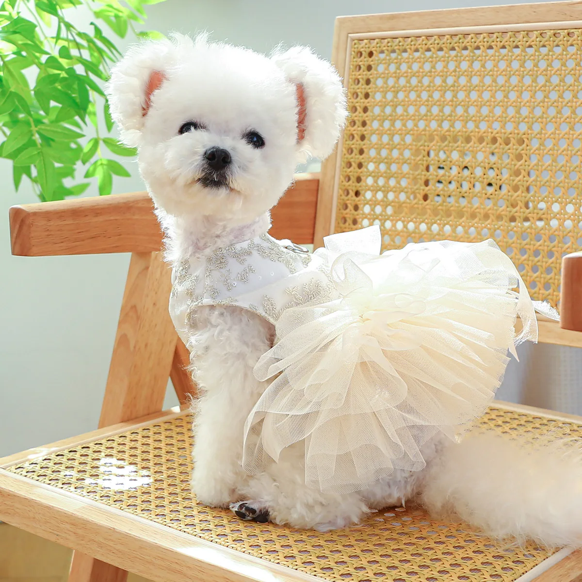Wholesale Dog Dress Luxury Skirt Pet Clothes Spring Summer 2024 Designer Pet Clothes Luxury