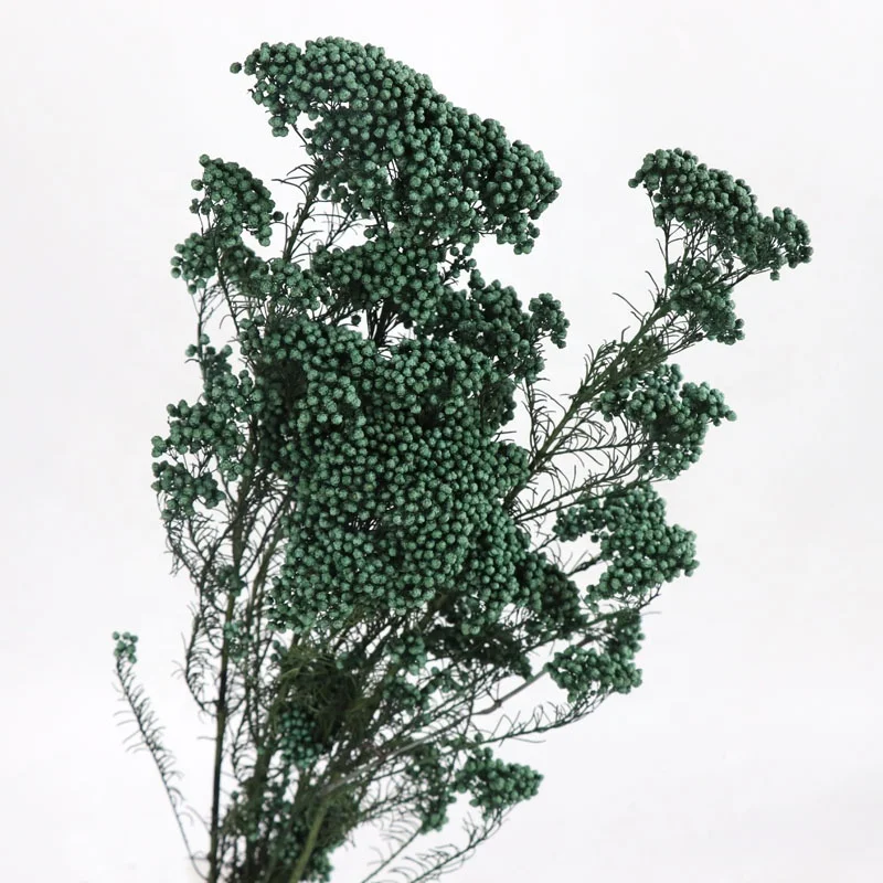 Wholesale Popular Everlasting Stained Rice Flower Millet Mi Flower For Wedding Decoration Desk Display  baby pampas asparagus