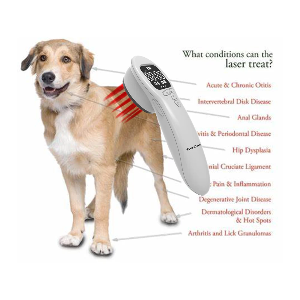 808nm 650nm  Portable Type C USB port Vet Laser Therapy Treatments Device for Arthritic Dogs Cats Pet