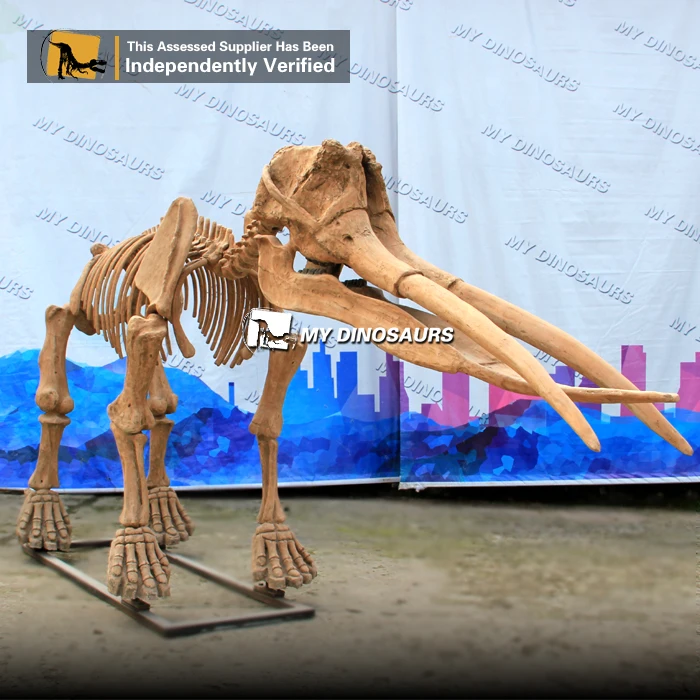 My Dino наружное оборудование Реплика скелета животного слона с водонепроницаемым материалом Стекловолоконная смола