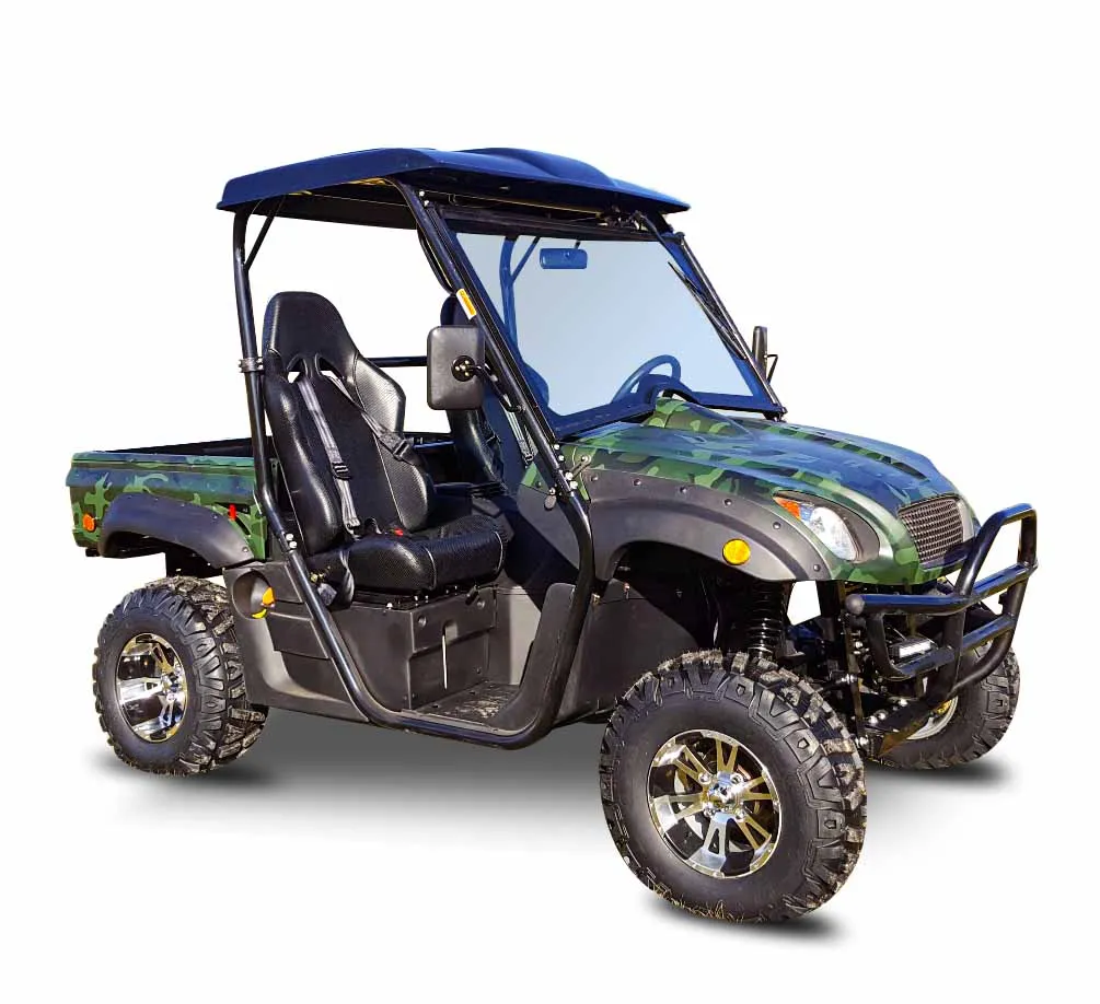 5 кВт/8 кВт Двухместный Электрический грузовик UTV 4X4 с EEC
