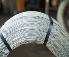 4mm ASTM AISI Standard SAE 1541 1070 Steel Wire Factory Price