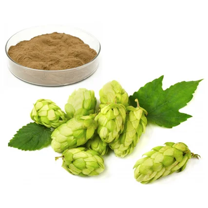 
High-quality hops extract powder 4-80% Flavones hops extract 
