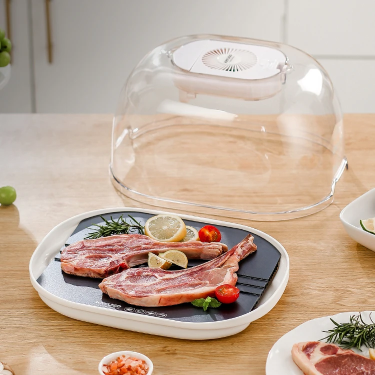 2022 New Defrosting Box  With Meat Defrosting tray Kitchen Product Meat Defrosting Machine Quickly Thawing