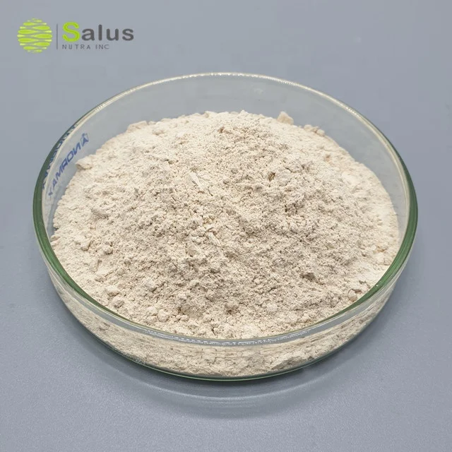 Factory Wholesale Hydroxycitric Acid 65% Garcinia Cambogia Extract Powder