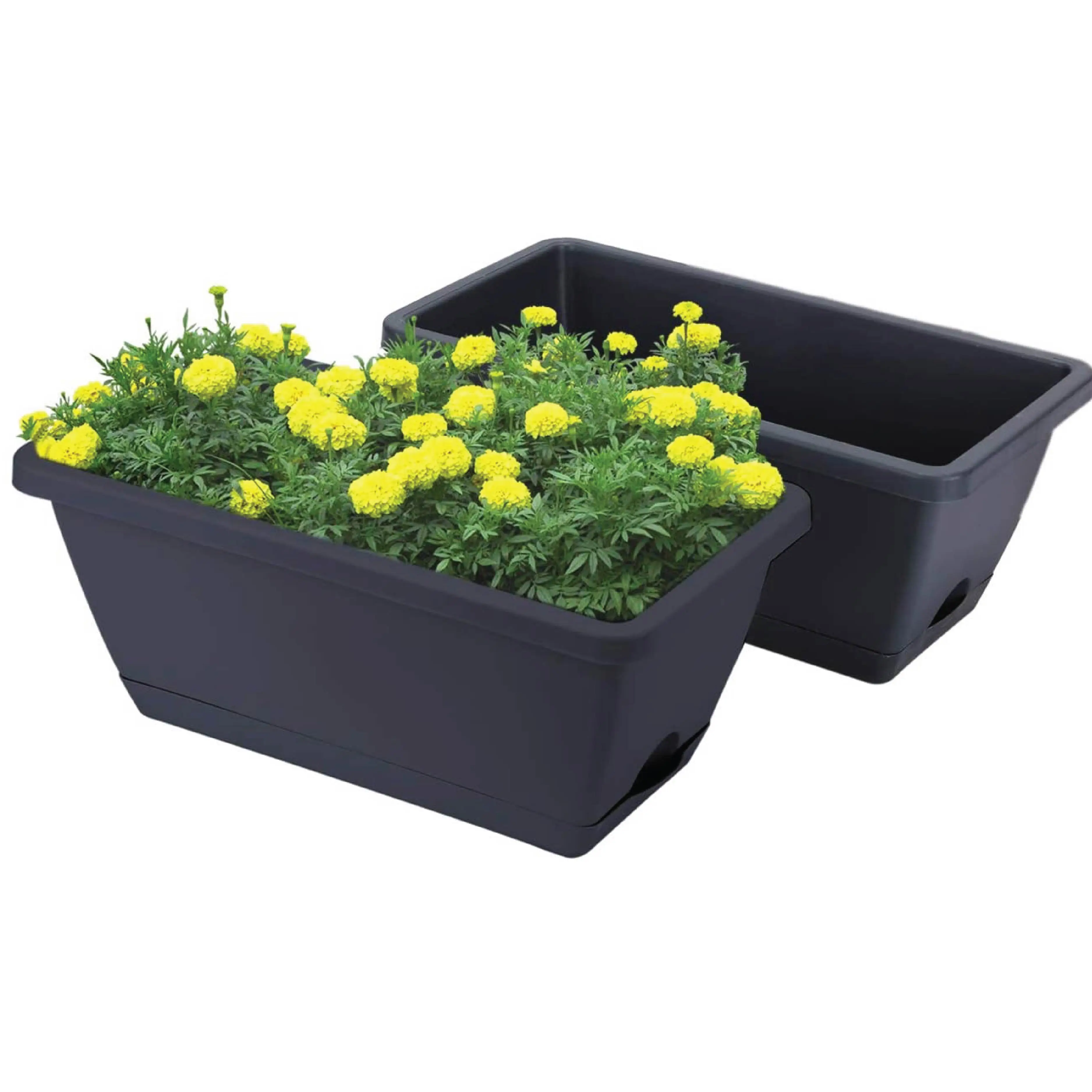 Terra cotta pot,lowes flower azaleas small growing potatoes bamboo in pots garden pots near me