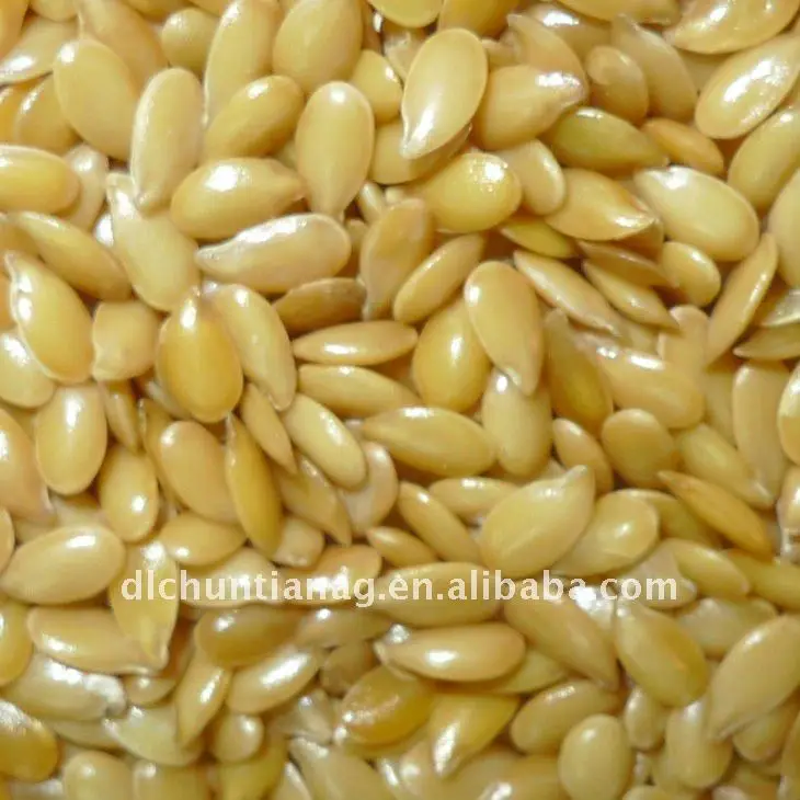 Top Selling Natural Golden Flaxseed Bulk Supplier