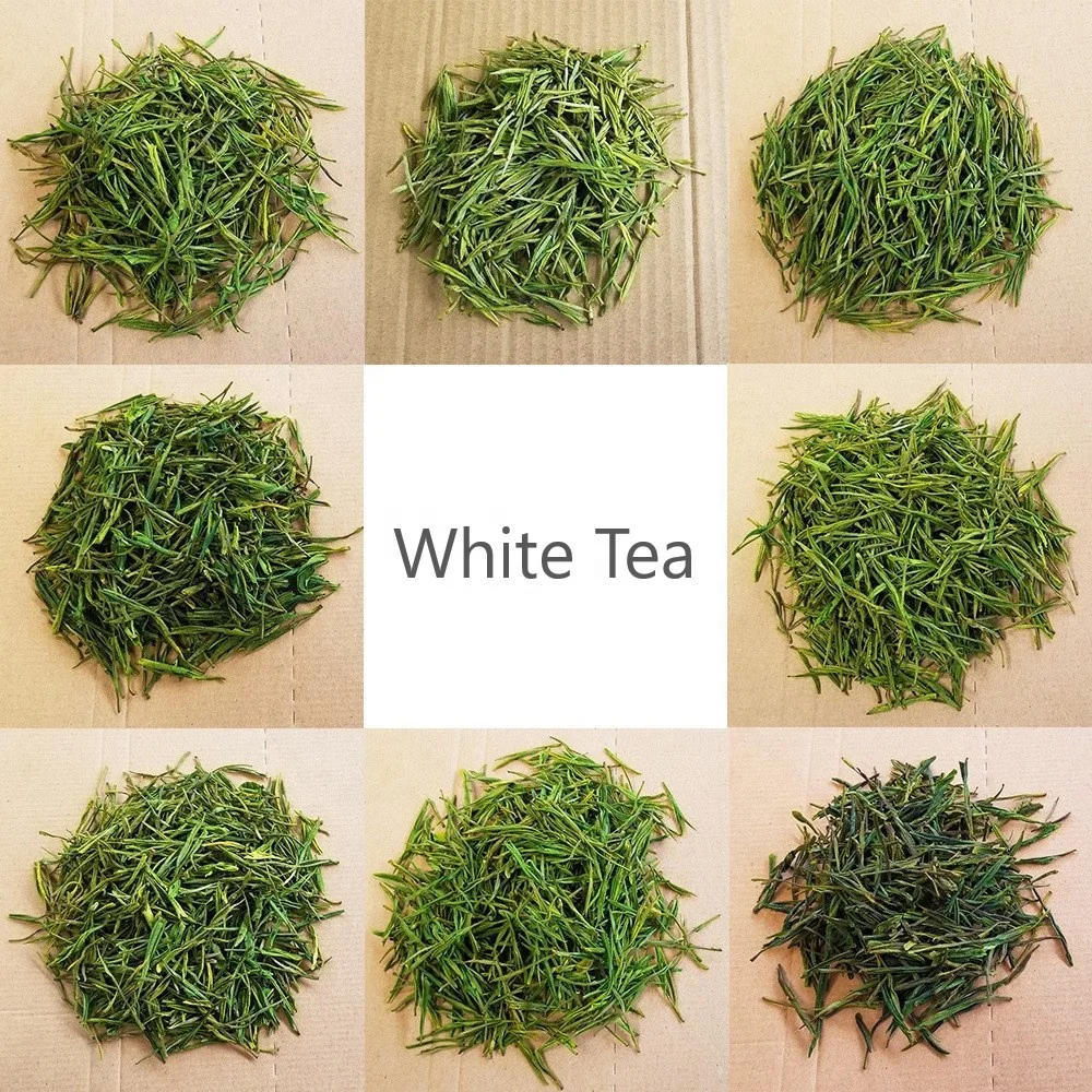 LT04 Chinese Early Spring Green Tea Fragrant Tasty White Tea Flavor Tea