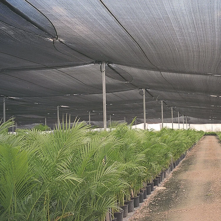 Shade Hdpe Virgin Blue White Fence Use Sun Shade Cloth