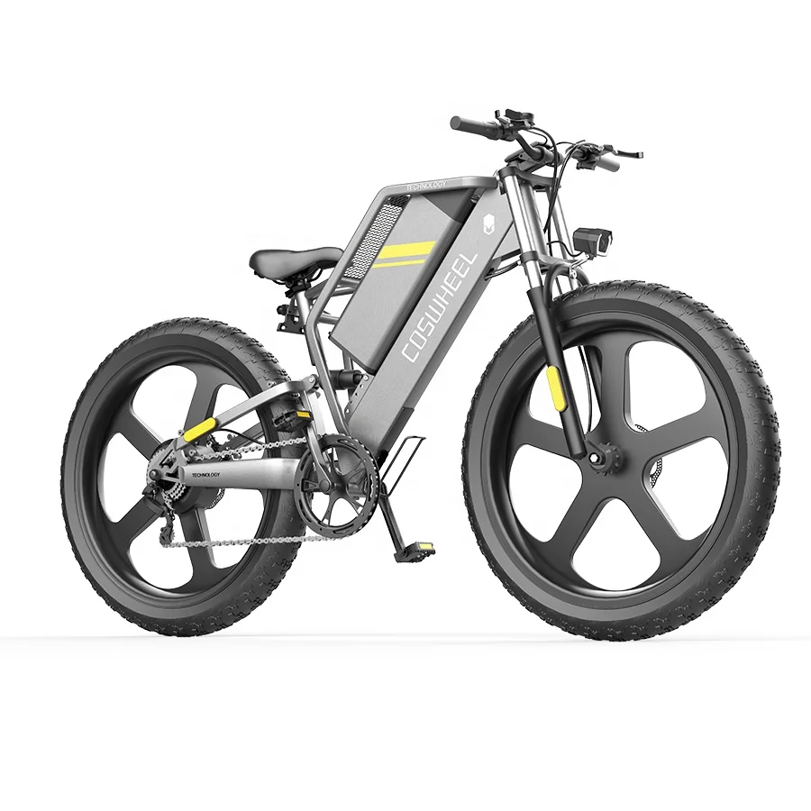 Newest 750 Watt Electric Bike 48v Lithium Battery Step Thru Electric Bicycle 20er Fat Tire E Bike