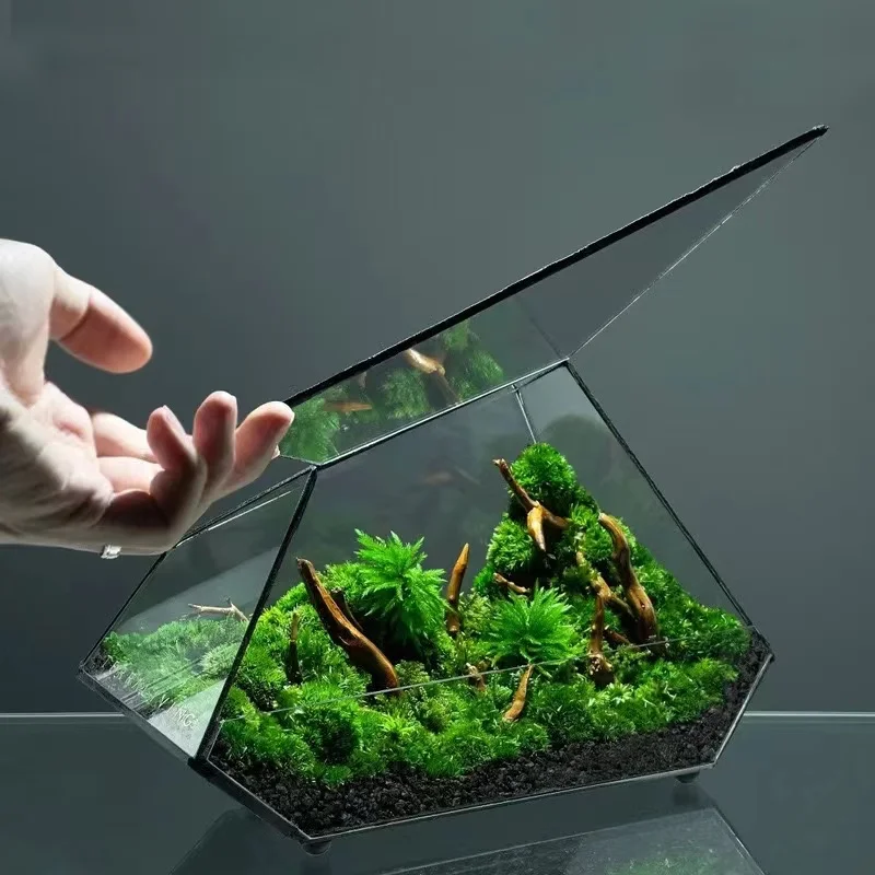 Geometric Glass Terrarium and Glass Cube Hanging Terrarium