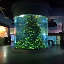 Aquarium Simple Style Cylinder Isolation Acrylic Fish Tank acrylic plexiglass sheet