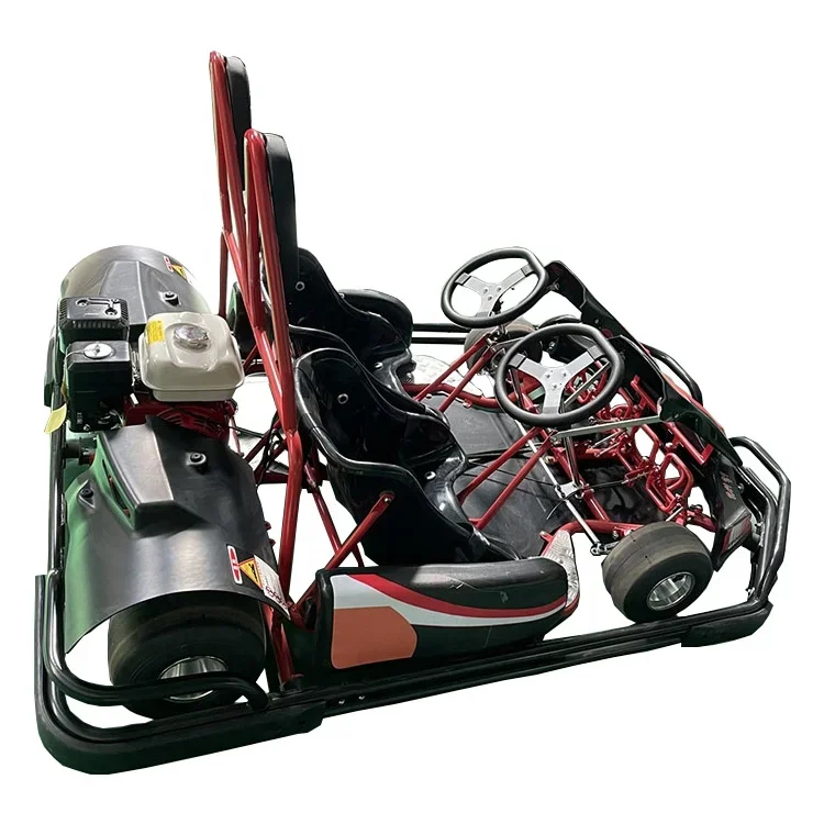 Hot Sale Amusement Rides Engine 200Cc 6.5Hp Gas Powered Two Seat Petrol Racing Go Kart