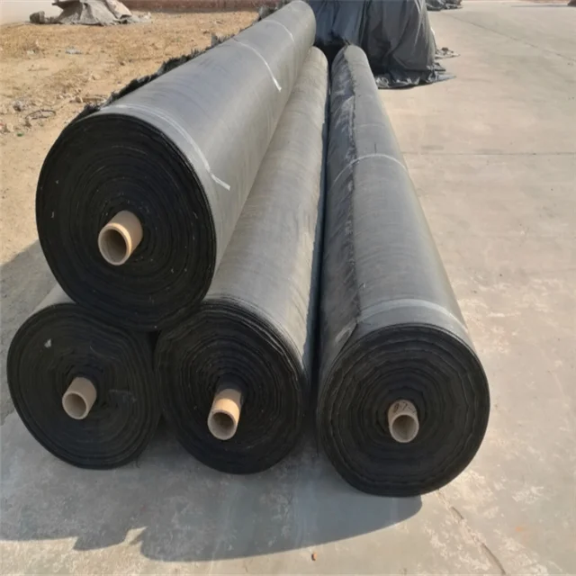 
PromotionalBlack Color Weed Mat Roll Virgin Material Weedmat Pp Silt Fence 
