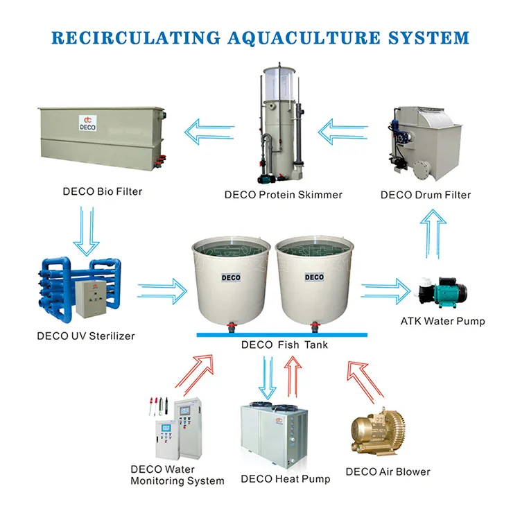 Customized DECO Nursery RAS design for Land-based Aquaculture - DECO manufacturers From China