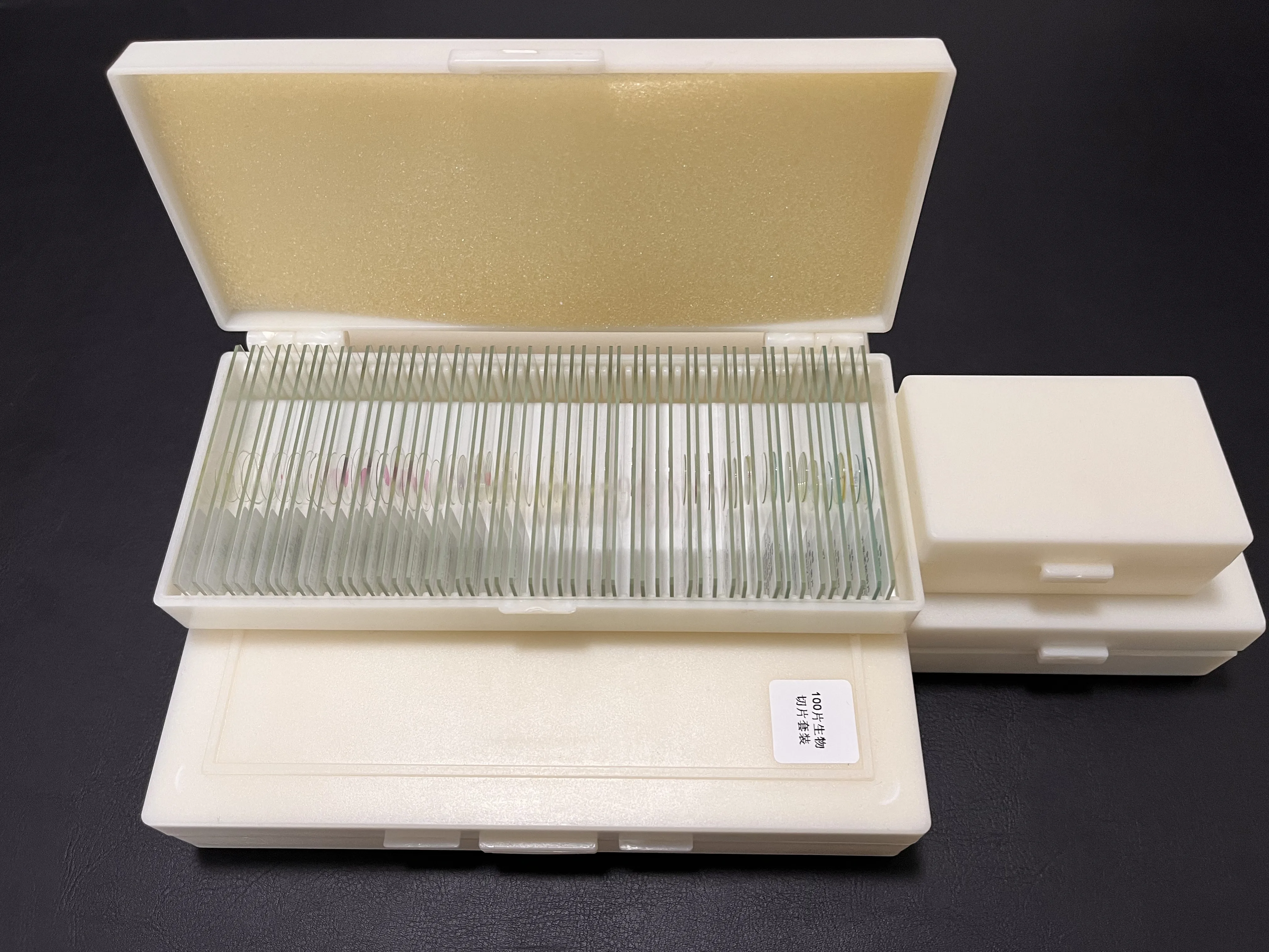 100pcs Human Histology Prepared Slides Microscope Medical Histology Prepared Slides