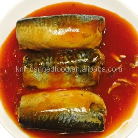 155gX50tins good quality manufacture canned mackerel in tomato sauce