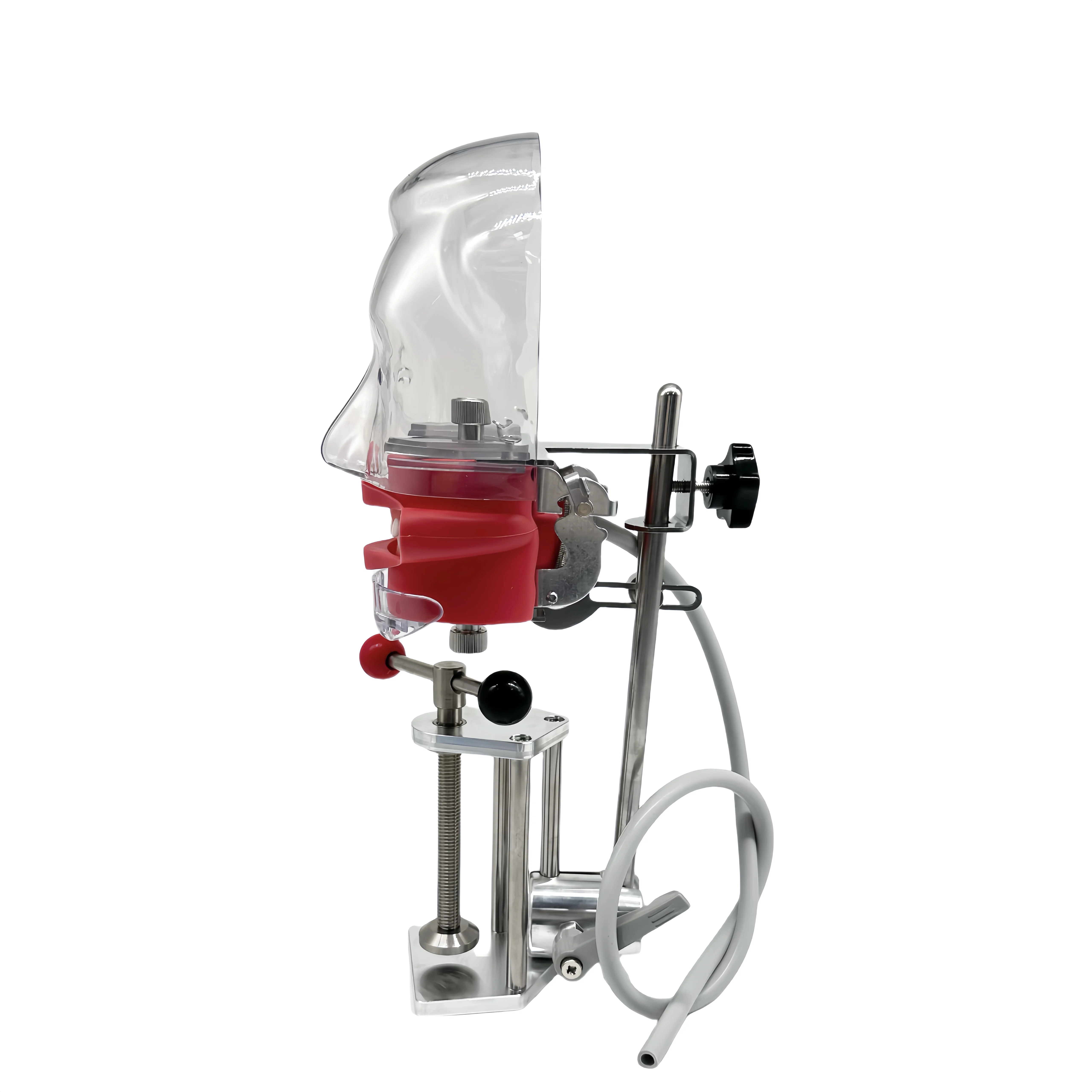 Adjustable Teeth Replacement Dental Phantom Head Manual Phantom Dental Model Plastic Metal Material Desktop Mounted Simple Table