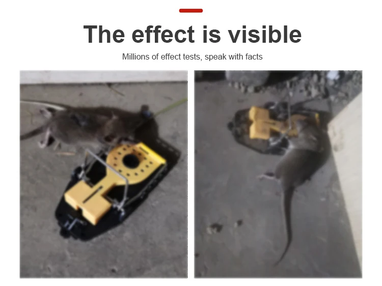 Household pest control rat killer new design mouse rat trap snap 180 degrees for rats and mice