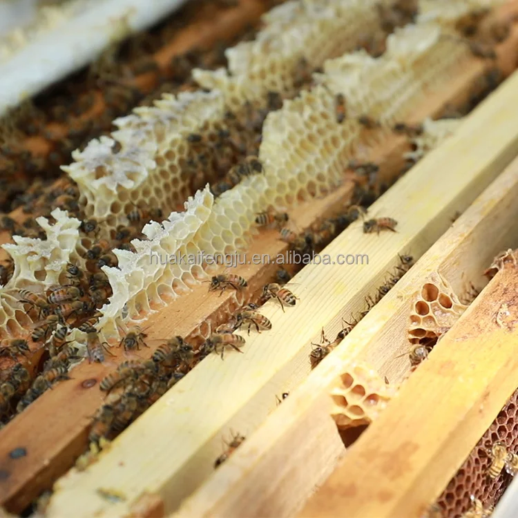 Unassembled Wood Deep Bee Hive Frame Beehive Frames Wood