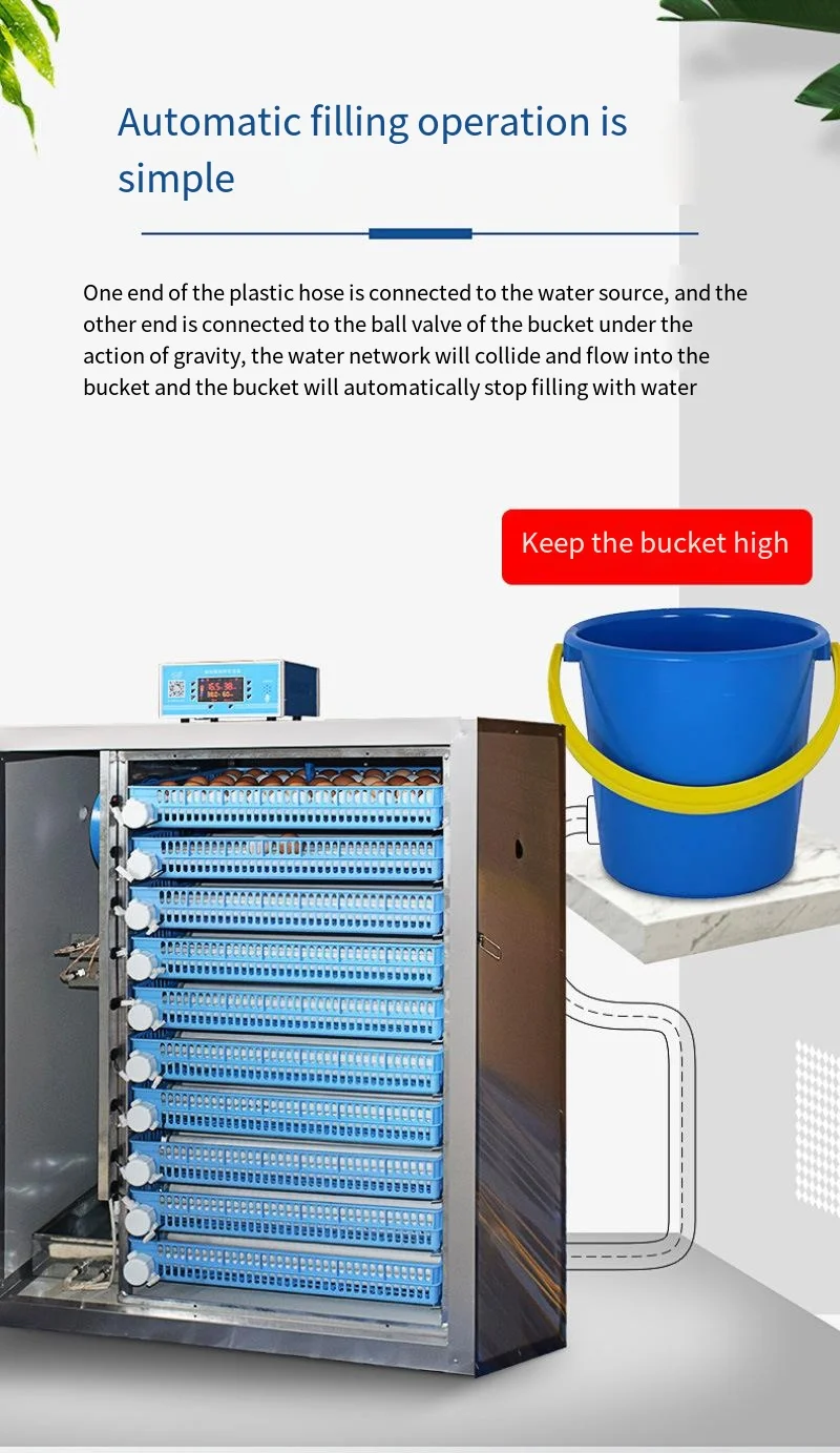 Наружный инкубатор для яиц перепелов по лучшей