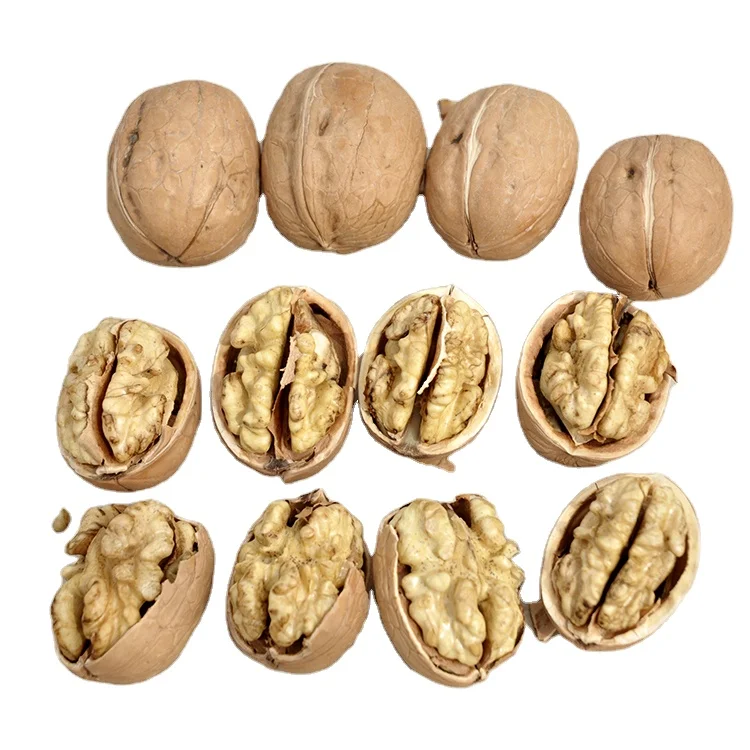 New Crop Fresh Peeled walnut kernels xin 2 thin walnut kernels from Xinjiang Organic walnut kernels