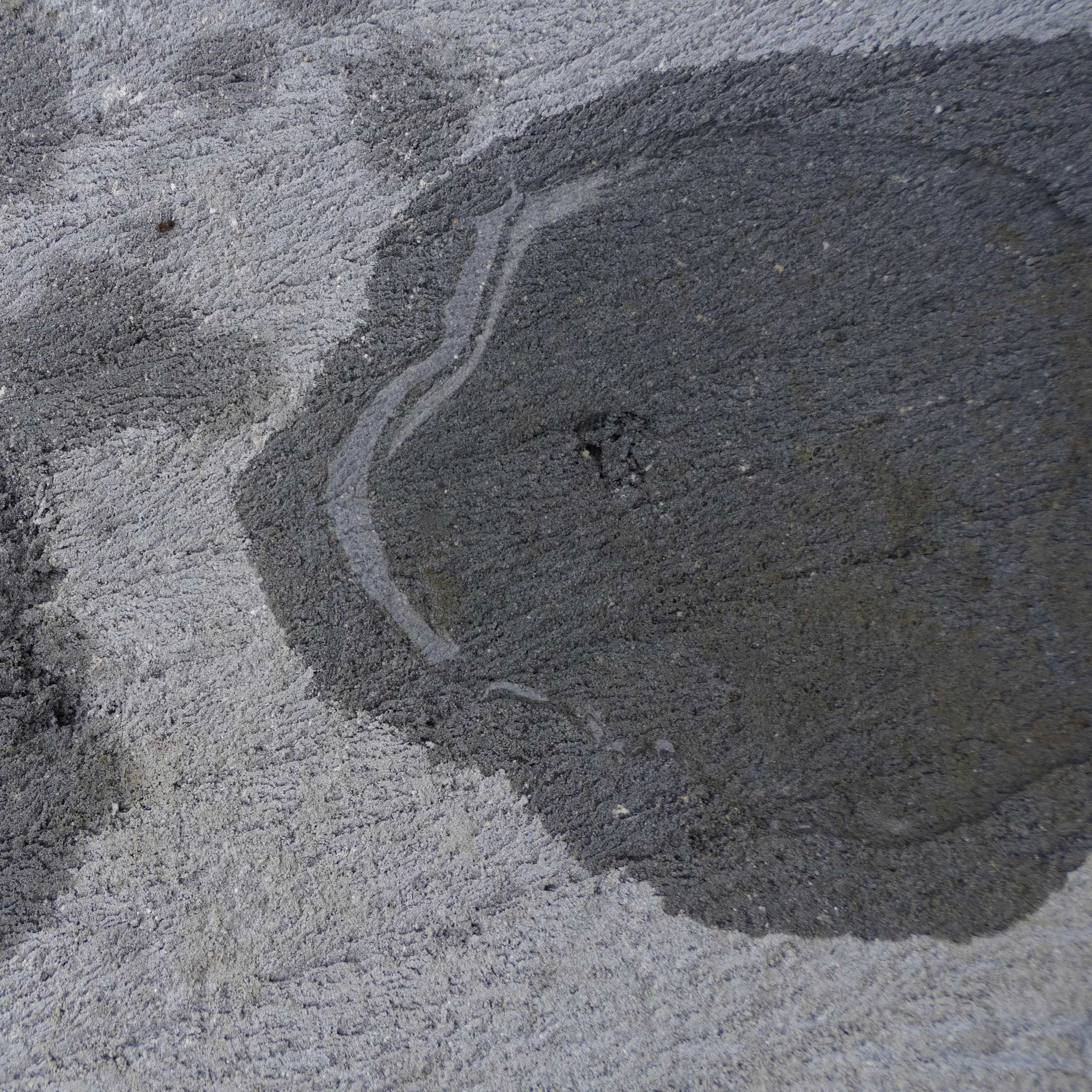 Hot Sale Durable Roof Architectural Coatings Nano Ceramic Waterproof Coating