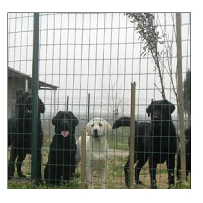 fence netting metal fences Suitable for fences in farm orchards and chicken farms