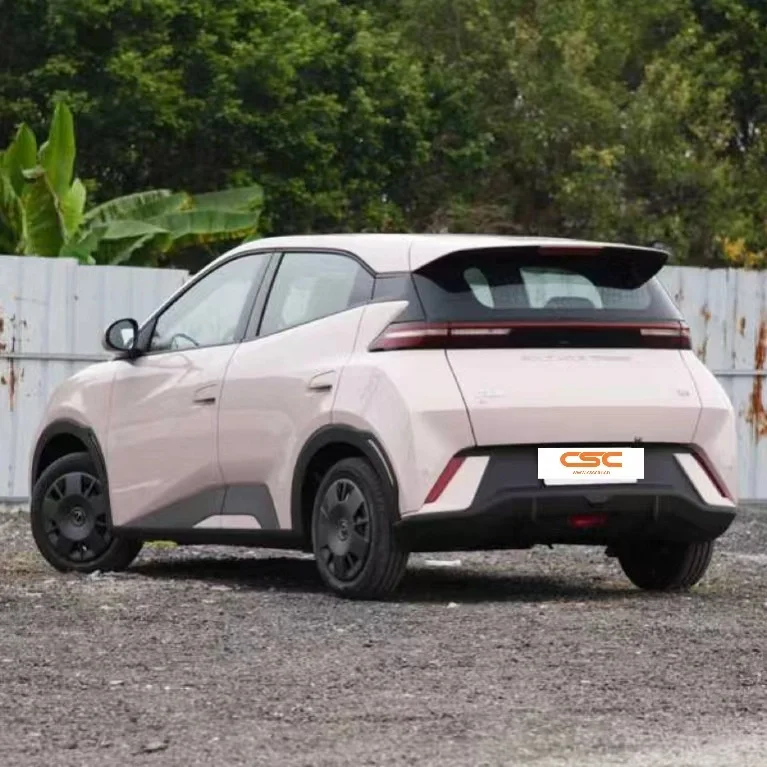 Small Electric Car Option with Eco-Friendly Design and Affordable Pricing