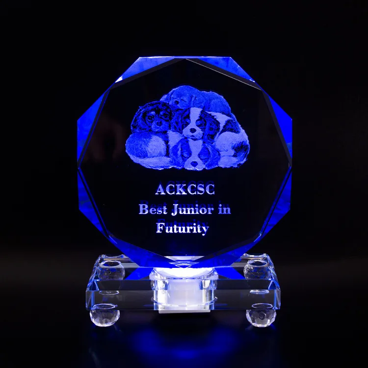 Wholesale custom business gift k9 clear glass crystal craft 3d laser engraved  Led lights Trophy Plaque for corporate team award