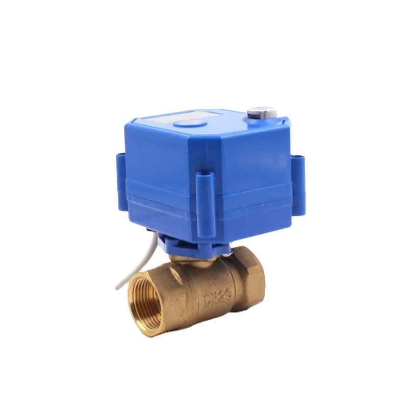 Flow Control Valve Electric Water SS304 DN32 DN25 DN20 DN15 DN10 DN8 Mini Ball Controller