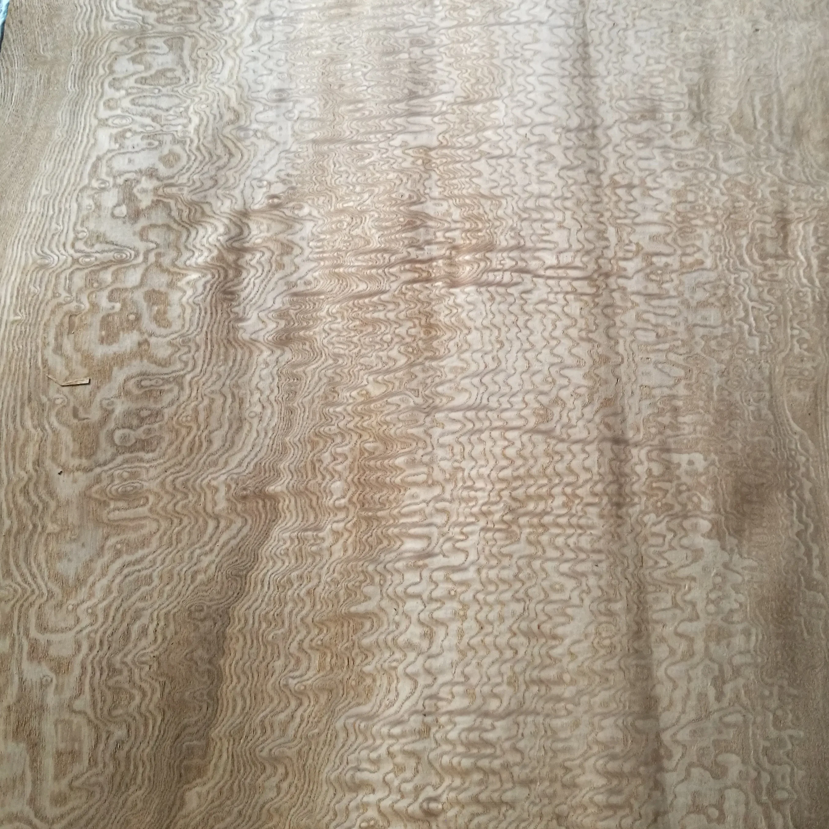 Professional Manufacture  Direct Supply Tamo Ash Veneer & Chinese Ash Veneer